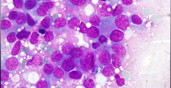 Test Veterinaria Citologia