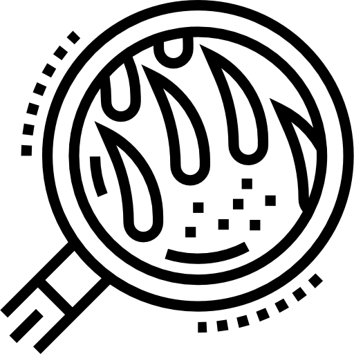 veterinario dermatologo