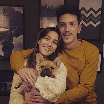 servicio dermatologia animal cordoba