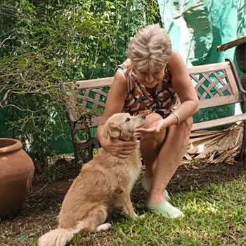 servicio dermatologia animal cordoba