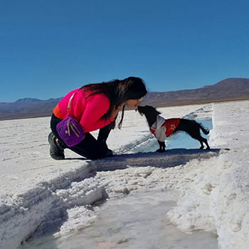 servicio dermatologia animal cordoba