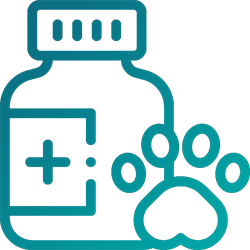 Consulta Dermatologia Mascotas