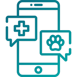 Consulta Dermatologia Mascotas